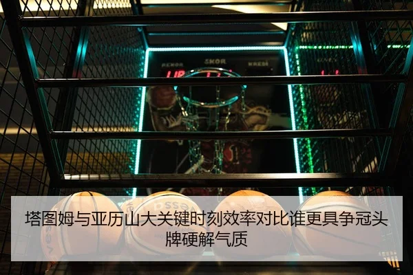 塔图姆与亚历山大关键时刻效率对比谁更具争冠头牌硬解气质